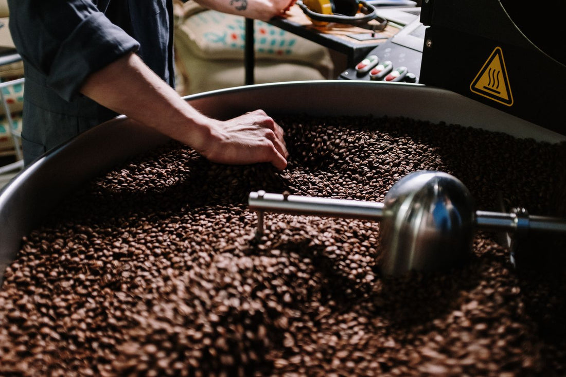 Pražená zrnková káva — Brazílie Cerrado, každodenní espresso od Atypiky